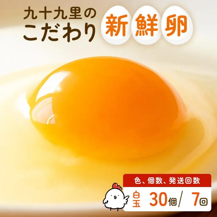 【定期便7回】九十九里ファームこだわりたまご贈答用 30個 ～あおい海・みどりの里～《白玉》 たまご 卵 玉子 タマゴ 白玉 卵かけご飯 新鮮 旨み 甘み 贈答用 贈答 ギフト 贈り物 千葉県 匝瑳市