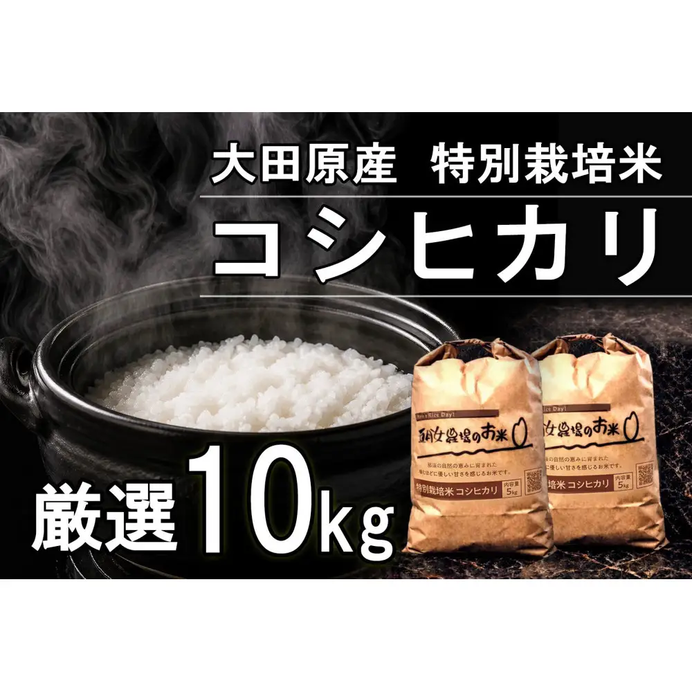 栃木県大田原産コシヒカリ 白米 10kg｜ 特別栽培米 メディア出演多数 栃木県農業大賞 知事賞 受賞農家 五月女農場 農家直送 産地直送 産直 栃木県 大田原市 こしひかり