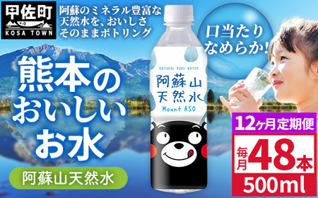 【定期便12ヶ月】熊本のおいしいお水 阿蘇山天然水 500ml×48本（2ケース）（共通返礼品・御船町） - 飲料水 ミネラルウォーター 軟水 防災 備蓄 ローリングストック【価格改定】