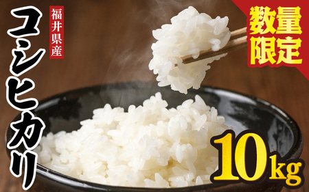 コシヒカリ 10kg 白米 令和7年産 コシヒカリ [B-3258]