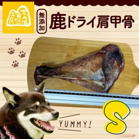 鹿ドライ肩甲骨Sサイズ（17~19㎝）3本 セット ペット用品 ペットグッズ ペットフード
