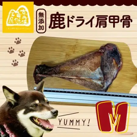 鹿ドライ肩甲骨Mサイズ（20~22㎝）6本 セット ペット用品 ペットグッズ ペットフード