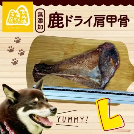 鹿ドライ肩甲骨Lサイズ（23㎝以上）6本 セット ペット用品 ペットグッズ ペットフード