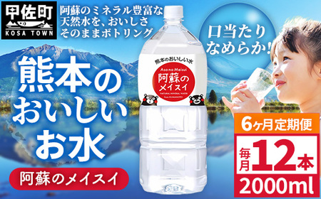 【定期便6ヶ月】熊本のおいしいお水 阿蘇のメイスイ 2L×12本（2ケース）（共通返礼品・御船町） - 飲料水 ミネラルウォーター 軟水 防災 備蓄 ローリングストック【価格改定】