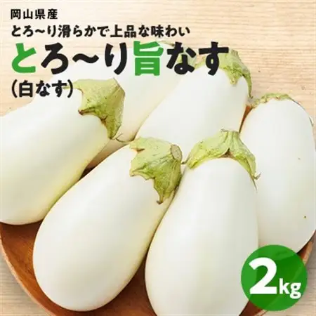 【2026年7月以降発送】なす栽培歴50年の大ベテランが育てた、とろ～り旨なす『白なす』2kg【1325424】