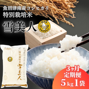 【3ヶ月定期便】魚沼産コシヒカリ 特別栽培 雪美人  5kg  | 津南町 魚沼 令和7年