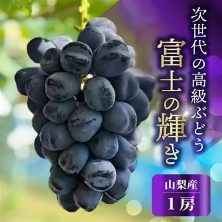 山梨市産 富士の輝  富士の輝き 大粒で高糖度の黒ぶどう 贈答用大房 1房【配送不可地域：離島】【1724534】