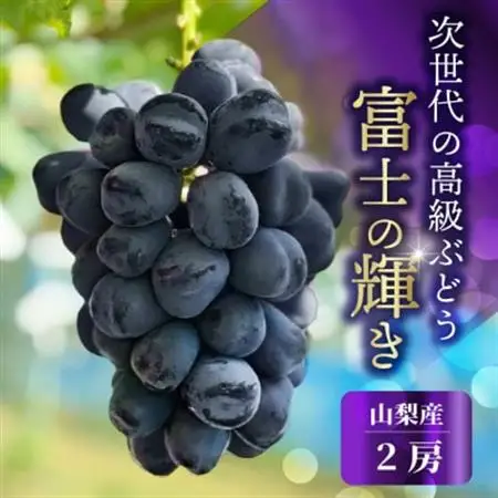 山梨市産 富士の輝  富士の輝き 大粒で高糖度の黒ぶどう 贈答用2房 化粧箱入り【配送不可地域：離島】【1724543】