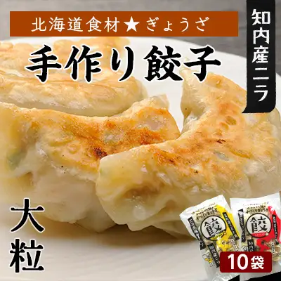 北海道の食材たっぷり！手作り餃子１０袋セット＜スリーエス＞