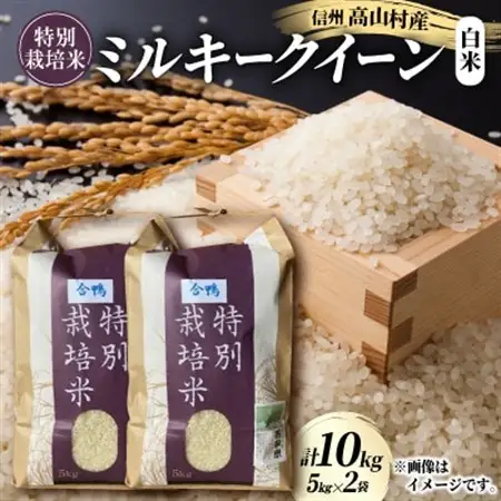 特別栽培米「ミルキークイーン」 白米 精米10kg(5kg×2袋)【1725869】