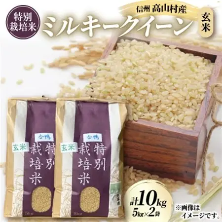 特別栽培米「ミルキークイーン」玄米 10kg(5kg×2袋)【1725871】