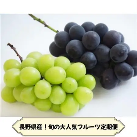 【発送月固定定期便】長野の果物 種なし巨峰+シャインマスカット全2回【配送不可地域：離島】【4081270】