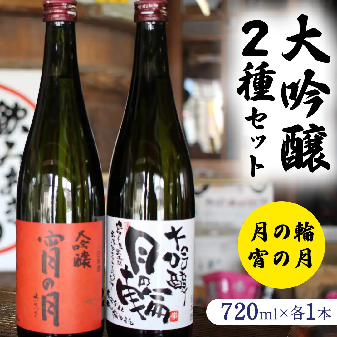 【日本酒】大吟醸2種セット 月の輪 日本酒(AW010)