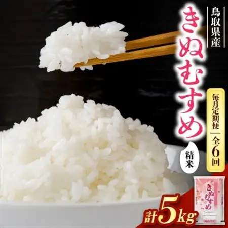 【毎月定期便】【食味鑑定士厳選】鳥取県産 きぬむすめ5kg(5kg×1袋) 精米全6回【4083766】