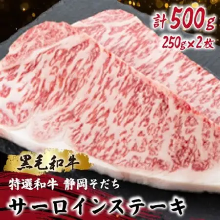 【特選和牛 静岡そだち】サーロインステーキ 250×2枚 ブランド牛 黒毛和牛【配送不可地域：離島】【1721942】