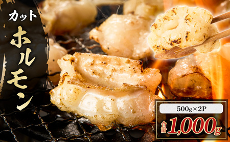 カット ホルモン K137-002 肉 牛 牛肉 冷凍