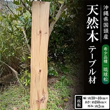 希少品種「琉球松」一枚板(幅約30～40cm×長さ約180cm×厚み約2cm)天然木【1720676】