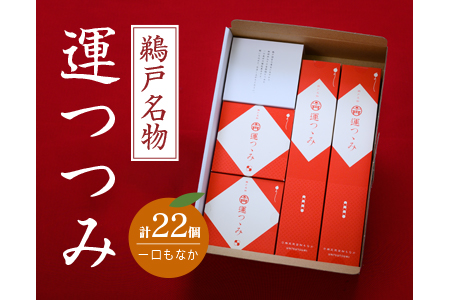 鵜戸名物 一口 もなか 運つつみ 計22個 和菓子 お菓子 完熟金柑 餡子 鵜戸神宮 運玉 最中 お茶菓子 詰め合わせ 縁起物 願掛け 願い事 贈り物 贈答品 ギフト スイーツ おやつ プレゼント あんこ お供え お取り寄せ グルメ おすそ分け 宮崎県 日南市 送料無料_BC75-23