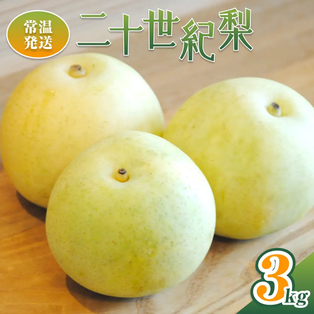 【2026年 先行予約】二十世紀梨 3kg※常温発送｜鳥取 井上農園 梨 なし ナシ 青梨 果物 フルーツ 3L【41086】 