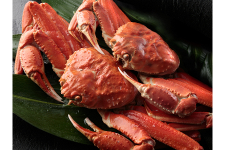 ボイル カニ姿ずわい蟹 2尾 約1.5kg | カニ ズワイガニ [1603]