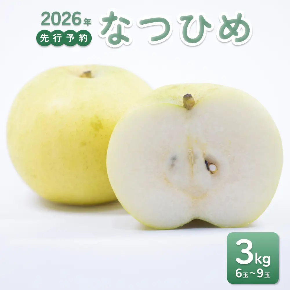 【2026年 先行予約】なつひめ 3kg｜鳥取 東光園 梨 2026年収穫後 2026年8月下旬頃～順次発送※着日指定不可【41066】
