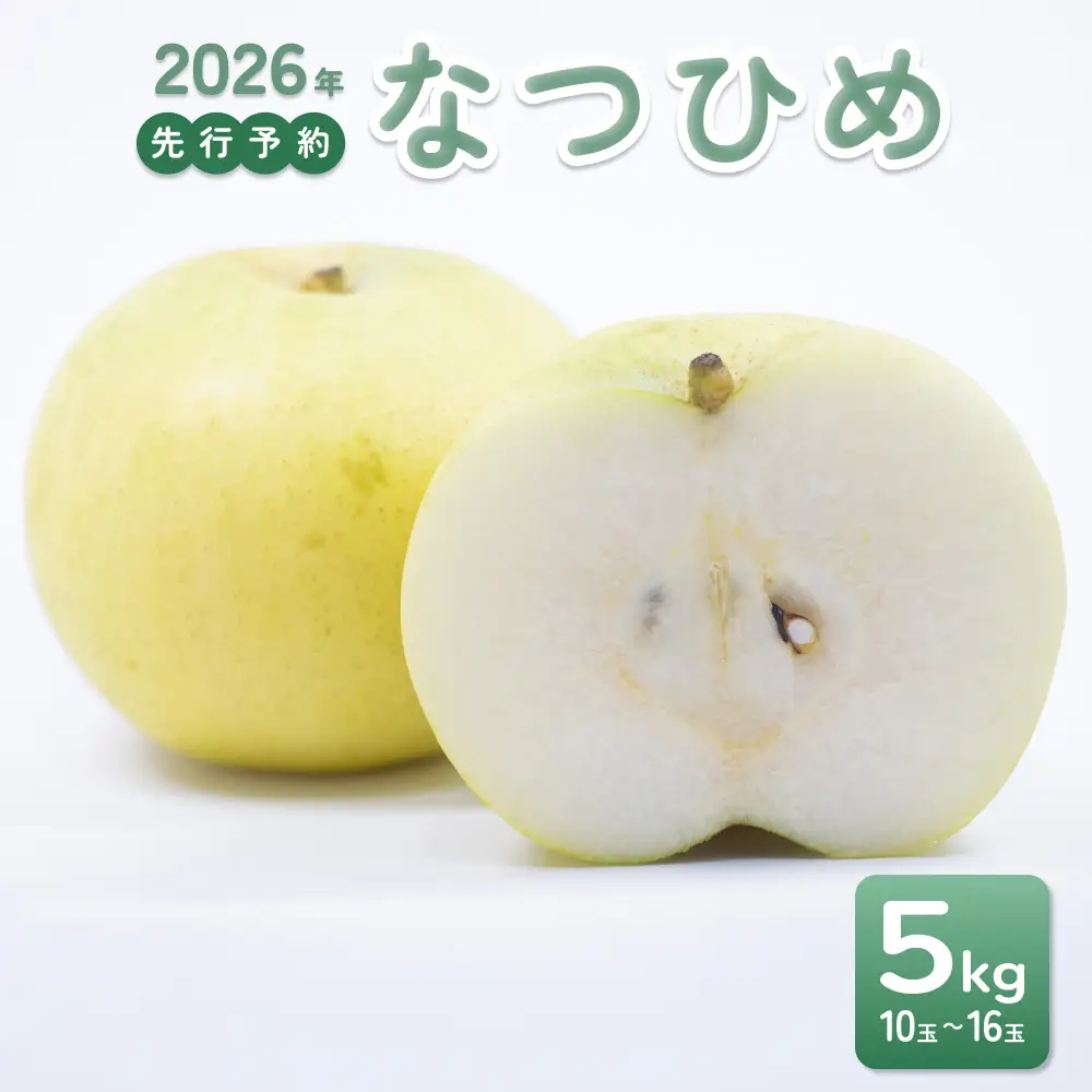 【2026年 先行予約】なつひめ 5kg｜鳥取 東光園 梨 2026年収穫後 2026年8月下旬頃～順次発送※着日指定不可【41067】