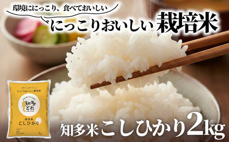 知多米 こしひかり 2kg 米 コシヒカリ