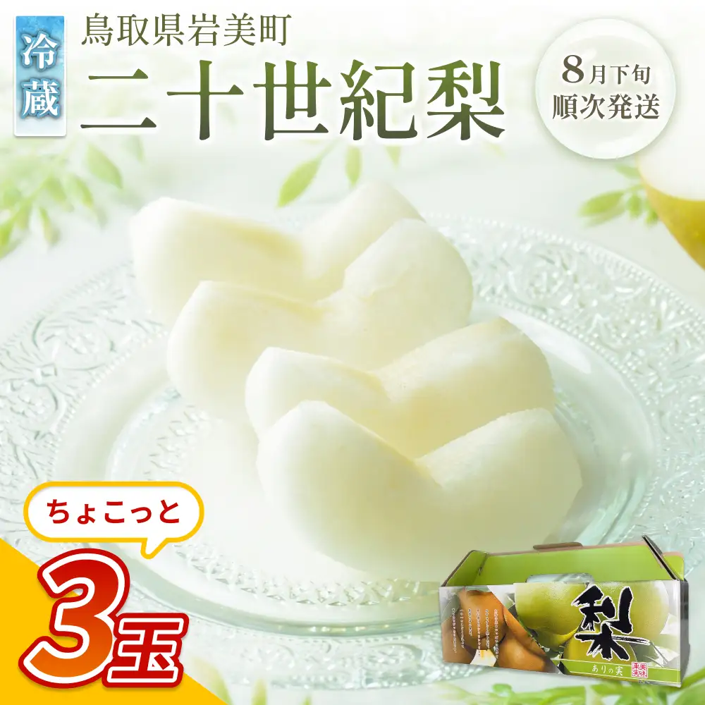 【先行予約】中野農園 梨 ”二十世紀梨” 3玉 冷蔵便発送｜鳥取 岩美 梨 なし ナシ 20世紀梨 青梨 果物 フルーツ ※お届けは2026年8月下旬頃～【41073】
