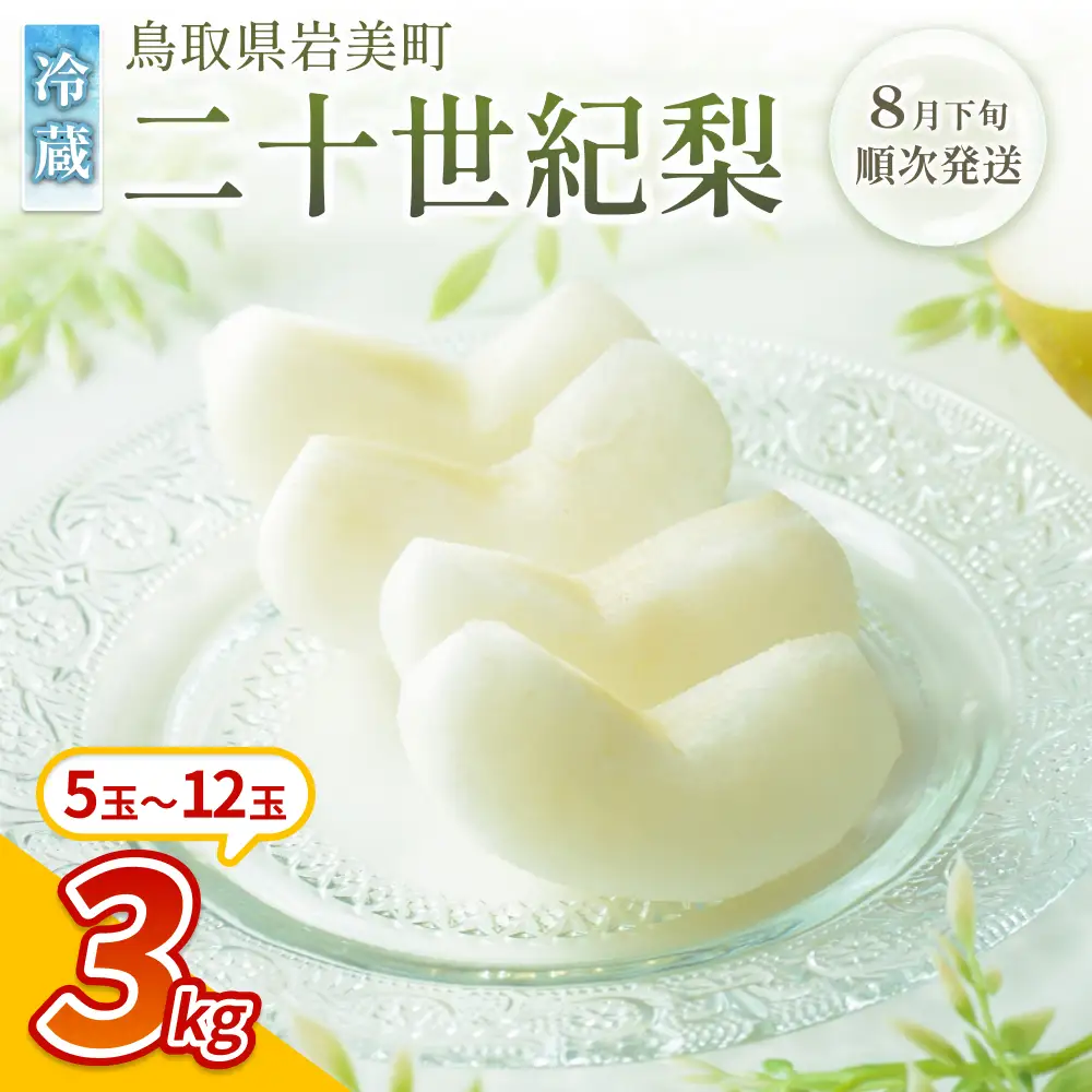 【先行予約】中野農園 梨 ”二十世紀梨” 3kg 冷蔵便発送｜鳥取 岩美 梨 なし ナシ 20世紀梨 青梨 果物 フルーツ ※お届けは2026年8月下旬頃～【41074】