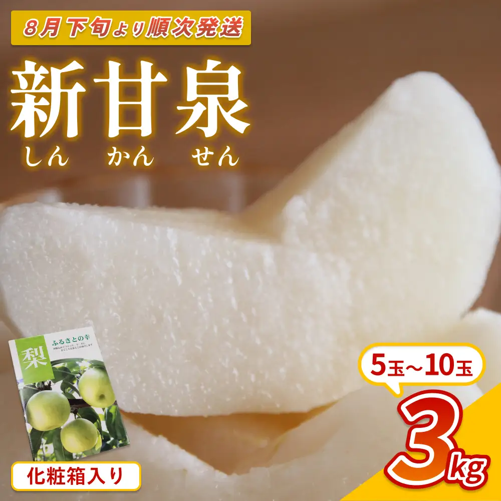 【先行予約】中野農園 梨 ”新甘泉” 3kg 化粧箱入り｜鳥取 岩美 梨 なし ナシ 赤梨 果物 フルーツ ※お届けは2026年8月下旬頃～【41077】