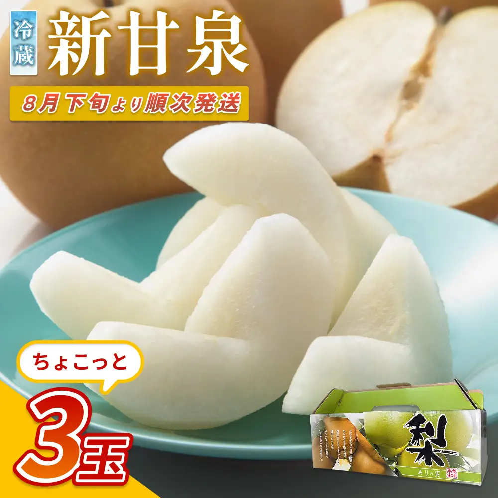 【先行予約】中野農園 梨 ”新甘泉” 3玉 冷蔵便発送｜鳥取 岩美 梨 なし ナシ 赤梨 果物 フルーツ ※お届けは2026年8月下旬頃～【41078】
