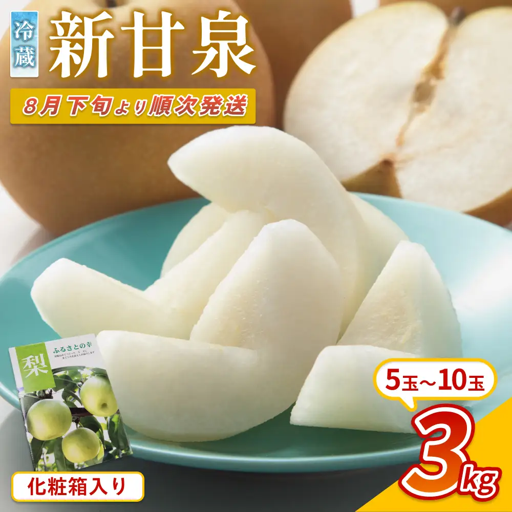 【先行予約】中野農園 梨 ”新甘泉” 3kg 化粧箱入り 冷蔵便発送｜鳥取 岩美 梨 なし ナシ 赤梨 果物 フルーツ ※お届けは2026年8月下旬頃～【41080】