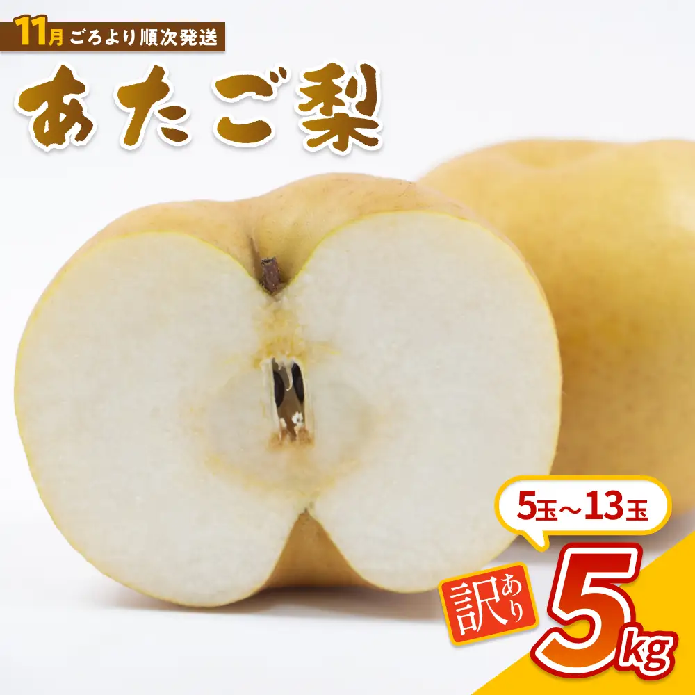 【先行予約】（訳あり）中野農園 梨 ”あたご梨” 5kg箱｜鳥取 岩美 梨 なし ナシ 赤梨 果物 フルーツ ※お届けは2026年11月以降【41082】