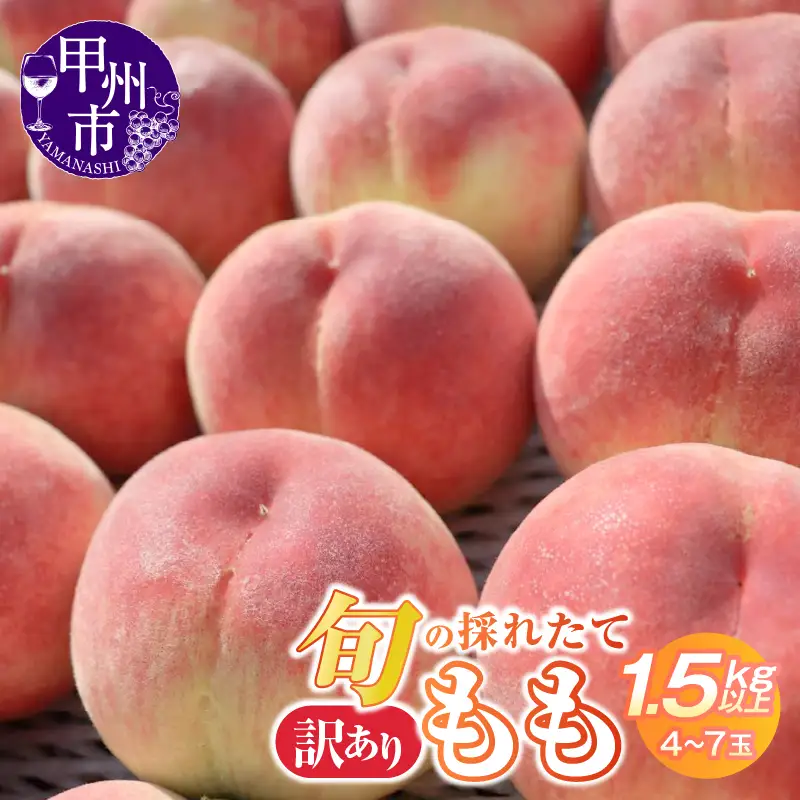 【訳あり】旬の採れたて桃 1.5kg以上 4～7玉【2026年発送】（HO）A04-1410 桃 フルーツ