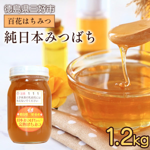 【 先行予約 7月以降発送 】 はちみつ 国産 蜂蜜 百花 1.2kg ニホンミツバチ 【 はちみつ 】 