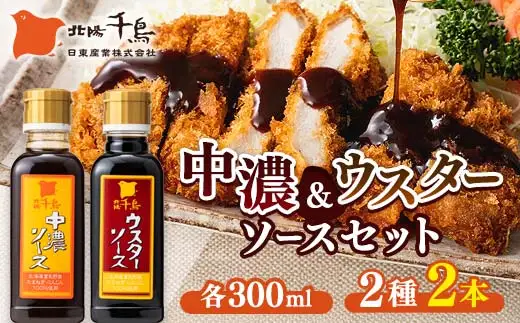 北陽千鳥ソース 2種2本セット(中濃ソース300ml×1・ウスターソース300ml×1) 調味料 ソース 揚げ物 とんかつ コロッケ 家庭用 自宅用 栃木県 足利市  F7Z-1861