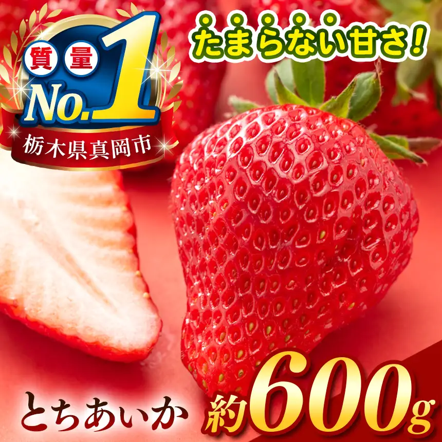 【2027年4～5月発送】【先行予約】 栃木のこでらんないイチゴ（とちあいか） 約300g×2
