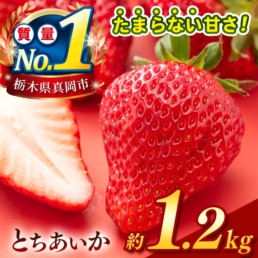 【2027年4～5月発送】先行予約 栃木のこでらんないイチゴ（とちあいか） 約300g×4