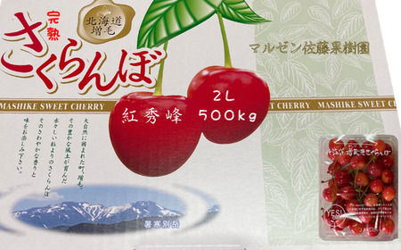 8-011-016　完熟さくらんぼ 紅秀峰（2L）500g　マルゼン佐藤果樹園