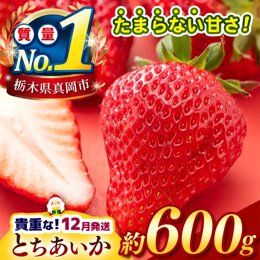 【2026年12月発送】【先行予約】 栃木のこでらんないイチゴ（とちあいか） 約300g×2