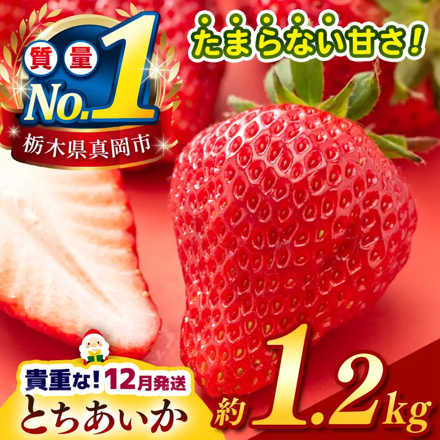 【2026年12月発送】【先行予約】 栃木のこでらんないイチゴ（とちあいか） 約300g×4