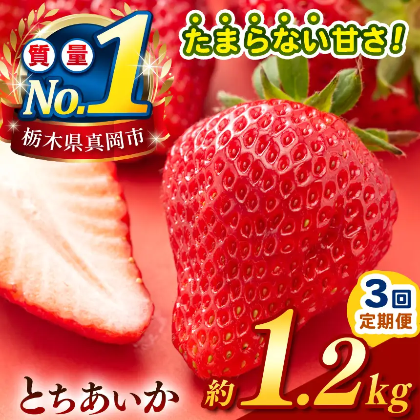 【定期便3回】【先行予約】 栃木のこでらんないイチゴ（とちあいか） 約300g×4