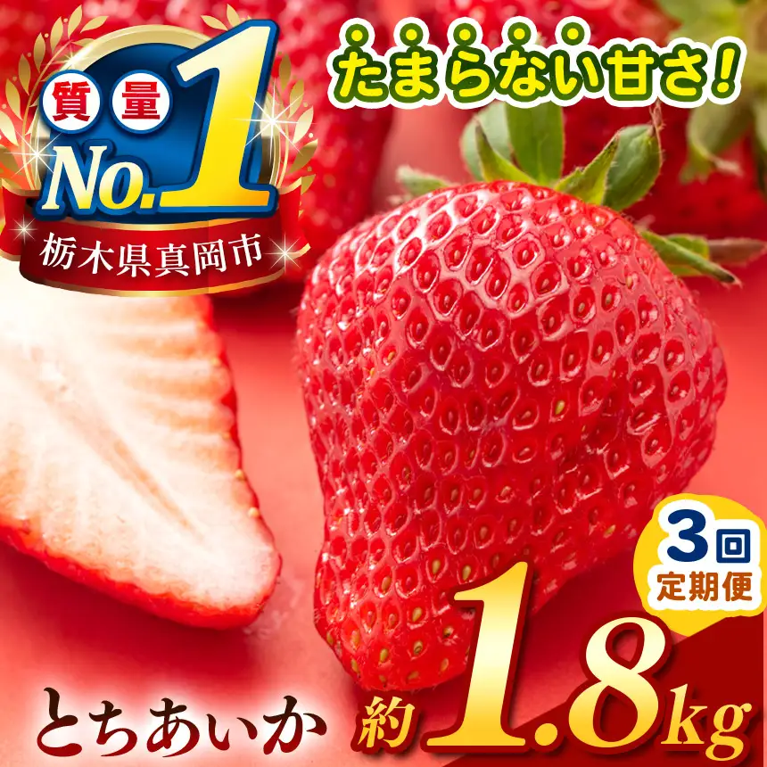 【定期便3回】【先行予約】 栃木のこでらんないイチゴ（とちあいか） 約300g×6