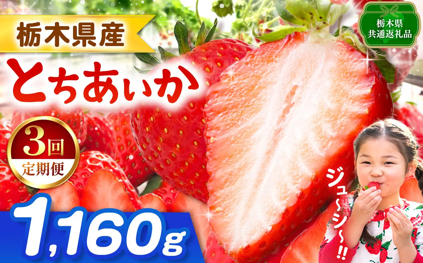 【栃木県共通返礼品】【先行予約】【定期3回】とちあいか 1160g | 栃木県 那珂川町 
