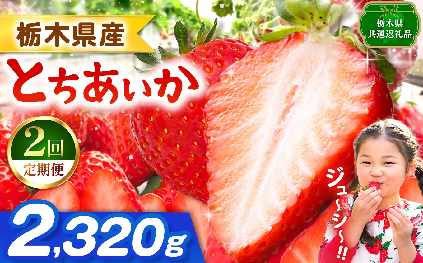 【栃木県共通返礼品】【先行予約】【定期2回】とちあいか 2320g | 栃木県 那珂川町 