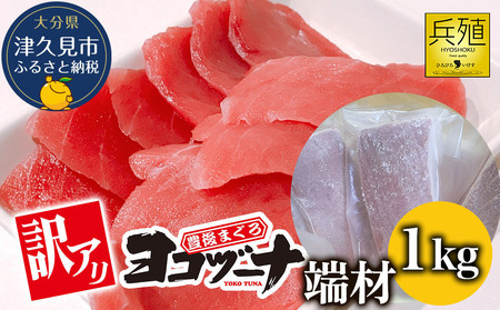 本まぐろ ヨコヅーナ 訳あり 本まぐろ 端材 1kg | 津久見市