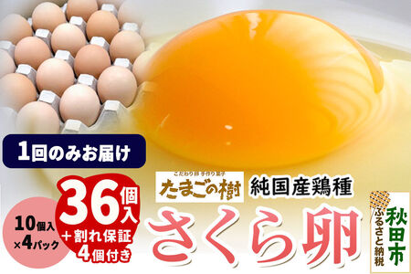 たまごの樹 純国産鶏種 卵『さくら』36個+割れ保証4個付き（10個入×4パック）