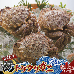 《訳あり》青森県 陸奥湾産 活トゲクリガニ(オス) 約1kg (3～7杯) 【琉宝丸】 漁師直送 かに カニ 蟹 魚介 青森 青森県 平内町 東北 むつ湾  F21J-235