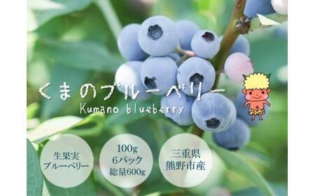 【先行受付】くまのブルーベリー 生果 600g(100g×6) フルーツ 果物 くだもの スムージー ジャム 朝食 デザート 特産品 人気 国産 旬 熊野精工 三重県 熊野市【kmsi0005】