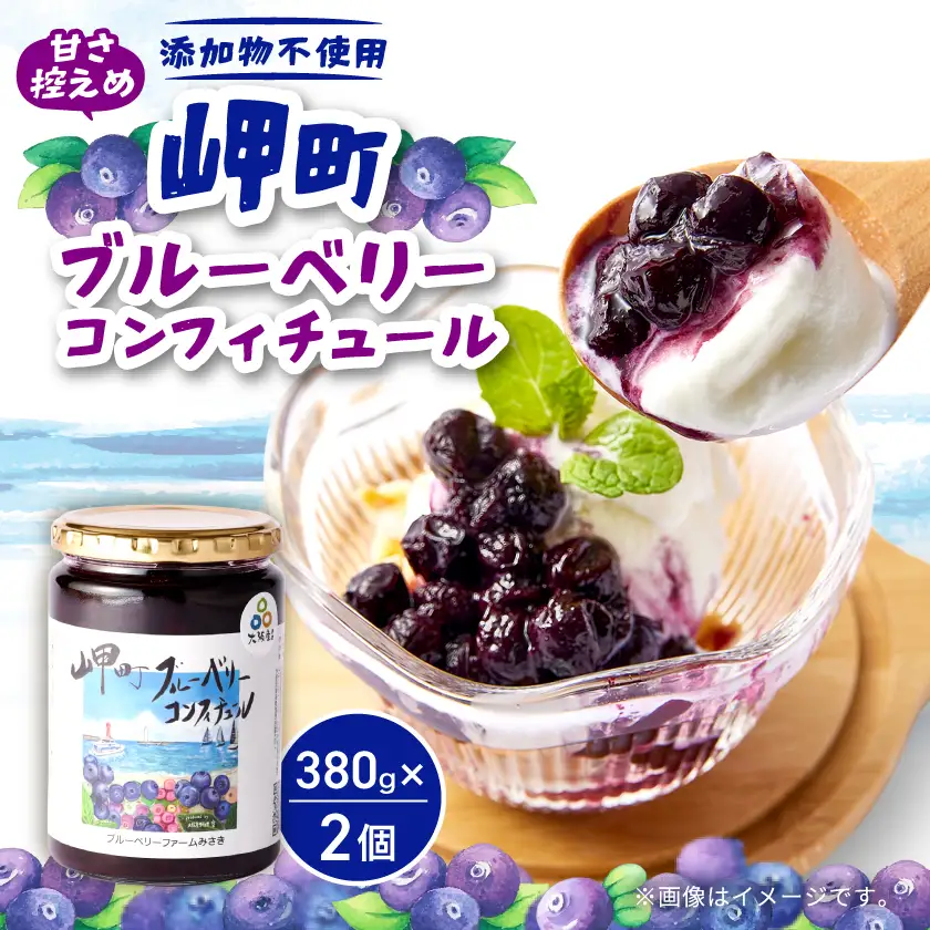 《2個》岬町ブルーベリーコンフィチュール(ジャム)380g×2　甘さ控えめ/添加物不使用【1713066】